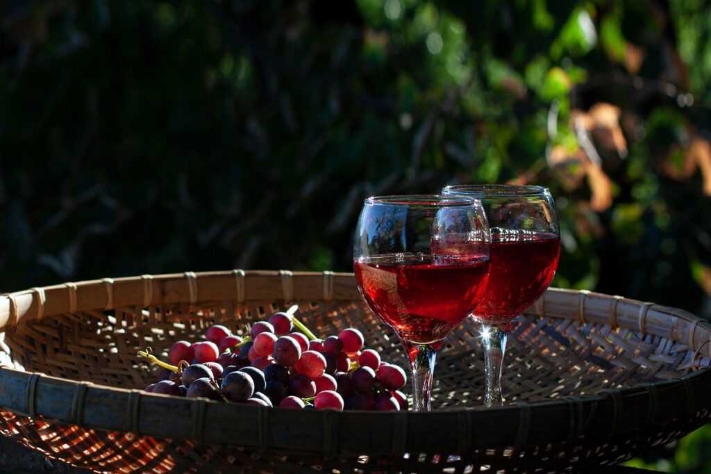 Rotwein Wein Spätburgunder Deutschland Portugieser