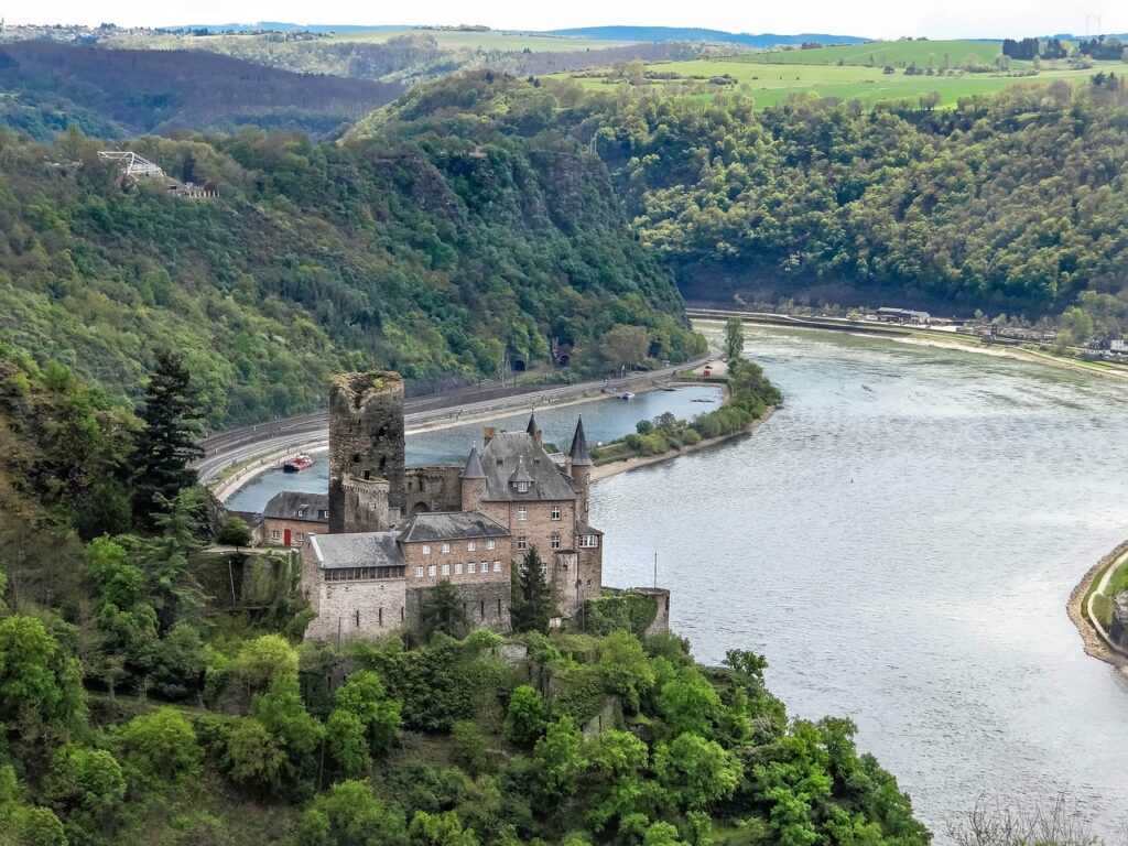 Rotwein Wein Schwarzriesling Deutschland Weinanbaugebiet Pfalz