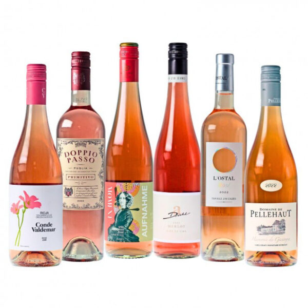 Exquisites Rose Wein Probierpaket 6 Flaschen a 0,75 Liter